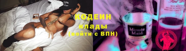 мет Няндома