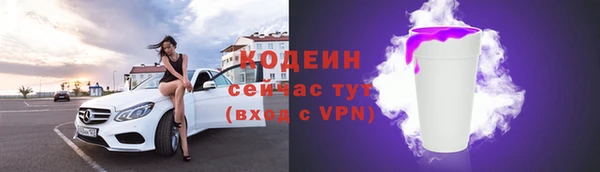шишки Нязепетровск