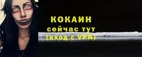 мет Няндома