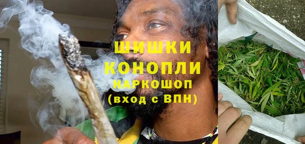 мет Няндома