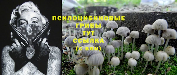 мет Няндома