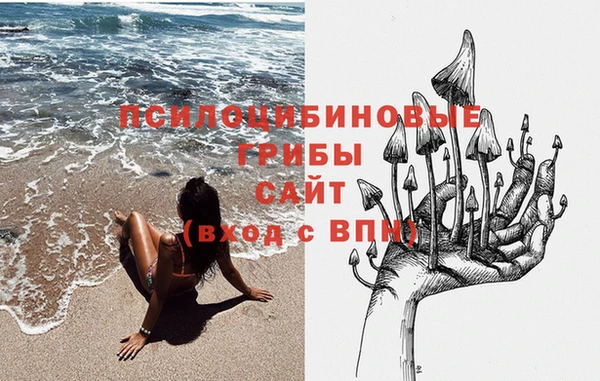 гашик Нягань
