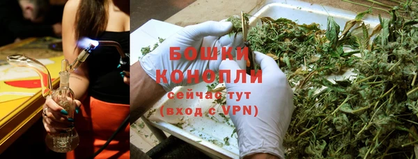 гашик Нягань