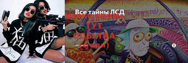 шишки Нязепетровск