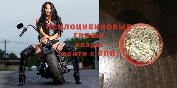 шишки Нязепетровск
