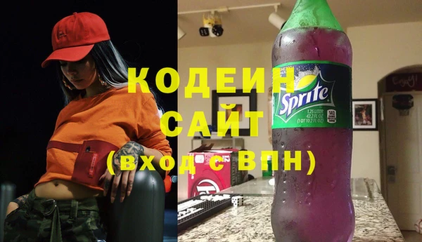 мет Няндома