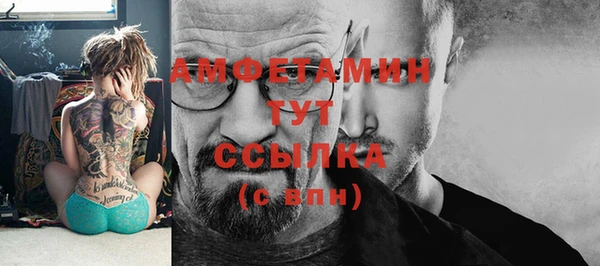мет Няндома