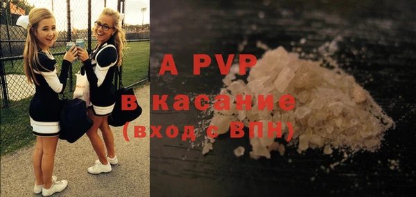 шишки Нязепетровск