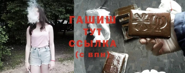 мет Няндома