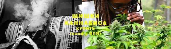 мет Няндома